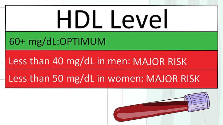 High-Density Lipoprotein