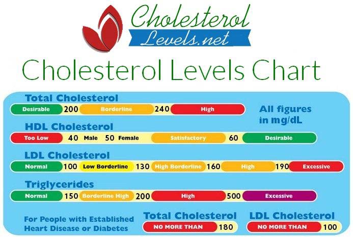 cholesterol-levels-scam-or-legit